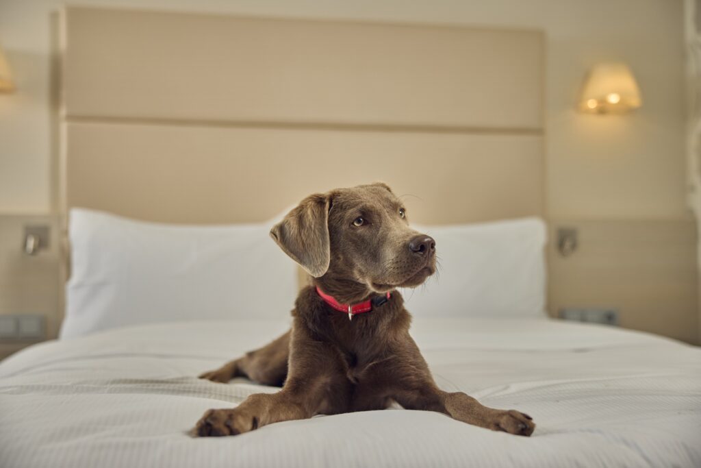 Hilton Hannover